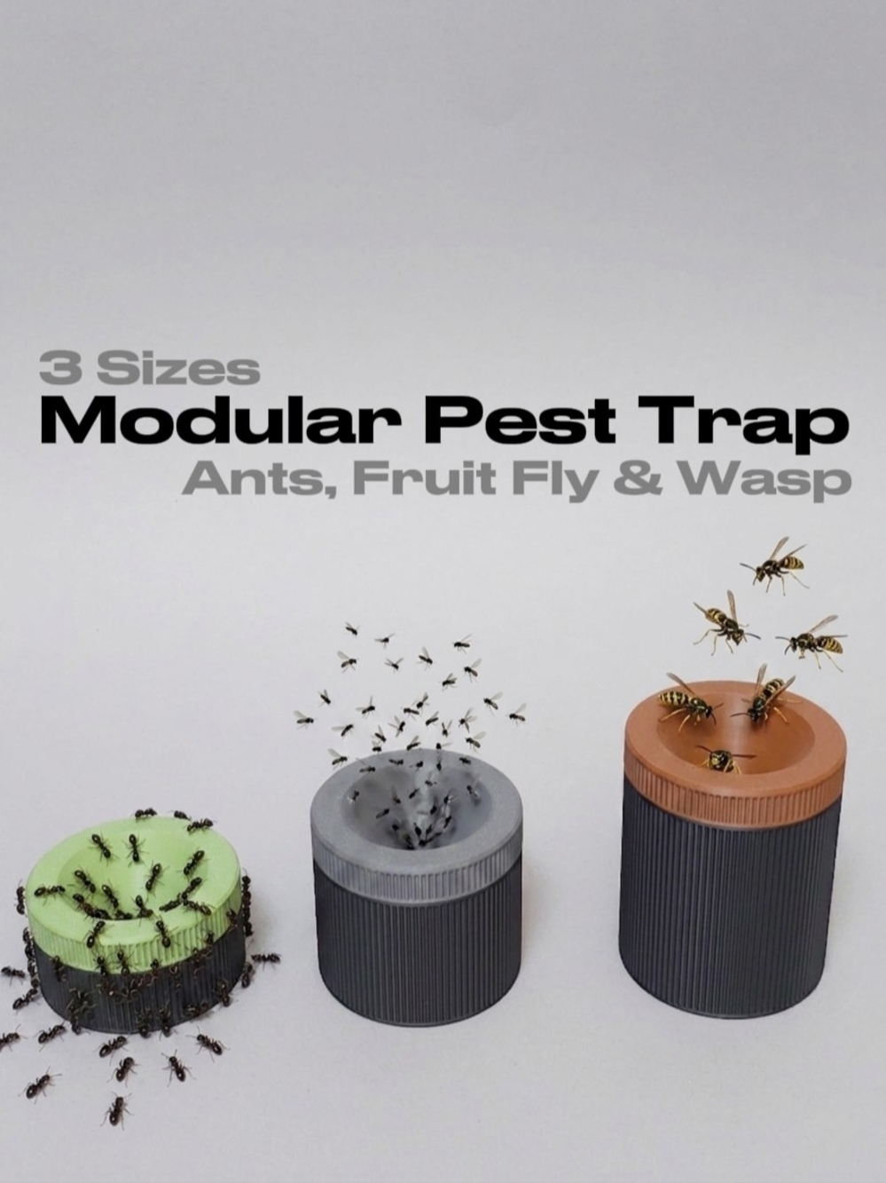 Modular Pest Trap for Ants, Fruit Flies & Wasps - Gray, Green & Brown